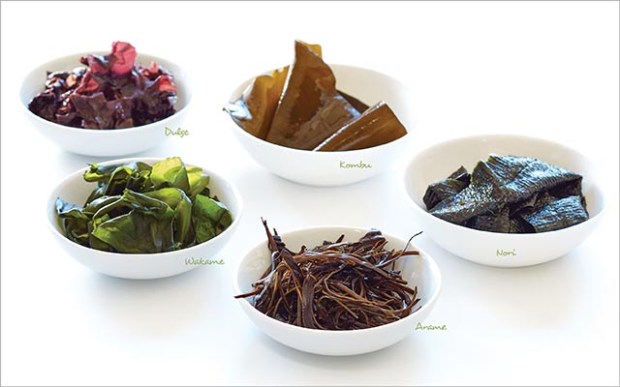 eat-your-sea-vegetables